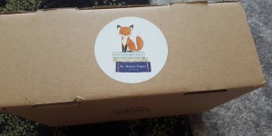 Beitragsbild des Blogbeitrags (Unboxing) – The Bookish Prophet – Love Letters at Bookish High