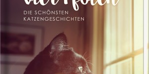 Beitragsbild des Blogbeitrags Das Glück kommt auf vier Pfoten – Die schönsten Katzengeschichten