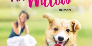 Beitragsbild des Blogbeitrags Und dann kam Mr. Willow – Anna Saalbach