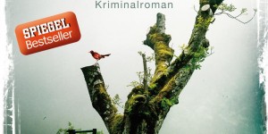 Beitragsbild des Blogbeitrags Die Eishexe – Camilla Läckberg 