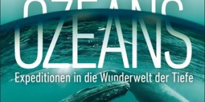Beitragsbild des Blogbeitrags Im Bann des Ozeans – Robert Hofrichter 