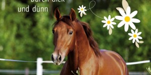 Beitragsbild des Blogbeitrags Charlottes Traumpferd 6: Durch dick und dünn – Nele Neuhaus 