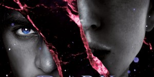 Beitragsbild des Blogbeitrags Dark Palace – Zehn Jahre musst du opfern – Vic James