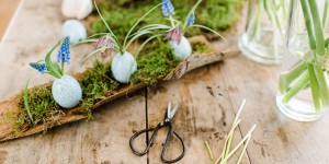 Beitragsbild des Blogbeitrags DIY Dekoration für Ostern: Hübsche Eier in der Baumrinde 