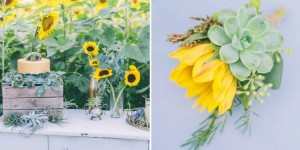 Beitragsbild des Blogbeitrags Sonnenblumen und Sukkulenten: eine bezaubernde Kombination für einen ersten Hochzeitstag im Spätsommer 