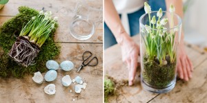 Beitragsbild des Blogbeitrags Blühende DIY Frühlingsdeko mit Moos und Hyazinthen 