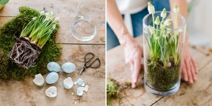 Beitragsbild des Blogbeitrags Blühende DIY Frühlingsdeko mit Moos und Hyazinthen