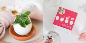 Beitragsbild des Blogbeitrags Die Pflanze im Ei: Hübsche Dekoration und Geschenkidee mit Eggling 