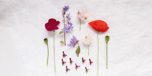 Beitragsbild des Blogbeitrags Florale Inspirationen 