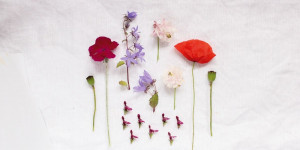 Beitragsbild des Blogbeitrags Florale Inspirationen