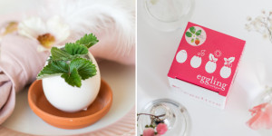 Beitragsbild des Blogbeitrags Die Pflanze im Ei: Hübsche Dekoration und Geschenkidee mit Eggling