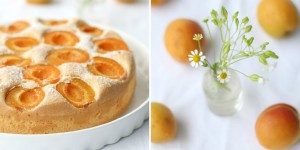 Beitragsbild des Blogbeitrags Leckere Marillenrezepte wenn Gäste kommen