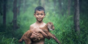 Beitragsbild des Blogbeitrags 10 hervorragende Storytelling Beispiele