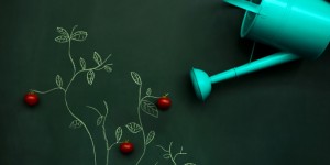 Beitragsbild des Blogbeitrags 12 Möglichkeiten, sich als Unternehmen sozial zu engagieren