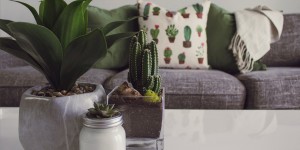 Beitragsbild des Blogbeitrags Wohnideen zum Selbermachen – Mit diesen Möbeln und Accessoires verleihst du deinem Zuhause das besondere Etwas 