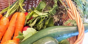 Beitragsbild des Blogbeitrags Annahof – Biobauernhof