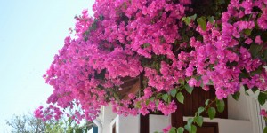 Beitragsbild des Blogbeitrags Papa, erkennst du mich?