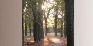 Beitragsbild des Blogbeitrags Hilfe bis zur Selbstaufgabe