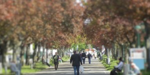 Beitragsbild des Blogbeitrags Gut leben mit Demenz – Alzheimer als Teil unserer Gesellschaft