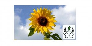 Beitragsbild des Blogbeitrags Palliative Care: Mut zur Sterbebegleitung zu Hause
