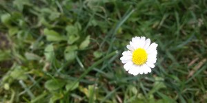 Beitragsbild des Blogbeitrags Die Sehnsucht nach der Vergangenheit