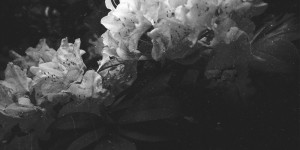 Beitragsbild des Blogbeitrags #12months12cameras: Double Exposures
