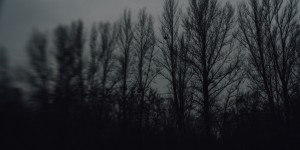 Beitragsbild des Blogbeitrags Lensbaby Blog Circle: A Winter Day 