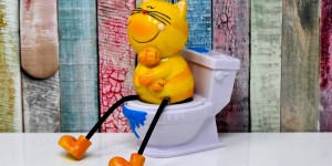 Beitragsbild des Blogbeitrags Eltern-Lüge: Ich muss meinem Kind beibringen aufs Klo zu gehen