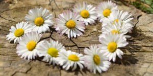Beitragsbild des Blogbeitrags “Ich liebe dich” reicht nicht!
