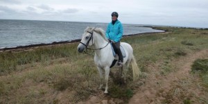 Beitragsbild des Blogbeitrags Reiten in Estland