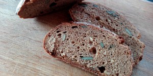 Beitragsbild des Blogbeitrags Warum Brot nicht ins Pferd gehört … 