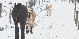 Beitragsbild des Blogbeitrags Barhuf unterwegs – Interview mit Miri von „Mein Faible“