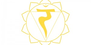 Beitragsbild des Blogbeitrags Die Chakren des Pferdes – das Solar-Plexus-Chakra