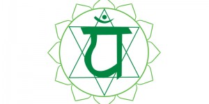 Beitragsbild des Blogbeitrags Die Chakren des Pferdes – das Herz-Chakra