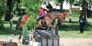 Beitragsbild des Blogbeitrags Barhuf unterwegs – 9 Fragen an: Katrin & Memento