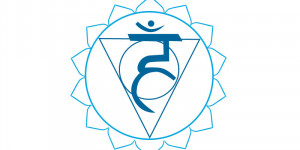 Beitragsbild des Blogbeitrags Die Chakren des Pferdes: das Hals-Chakra