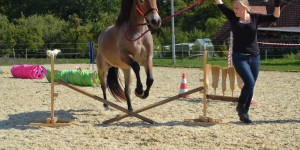 Beitragsbild des Blogbeitrags Barhuf unterwegs: Interview mit Melanie von „Penny das Pony“