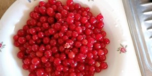 Beitragsbild des Blogbeitrags Sechs Gründe, warum man mit Kindern backen sollte inklusive Ribiselkuchen-Rezept