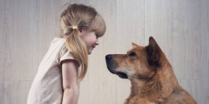 Beitragsbild des Blogbeitrags Sitz! Platz! Brav! Was haben Kinder- und Hundeerziehung gemeinsam? 