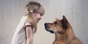 Beitragsbild des Blogbeitrags Sitz! Platz! Brav! Was haben Kinder- und Hundeerziehung gemeinsam?