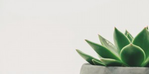Beitragsbild des Blogbeitrags Die Growth Hacking DIY Anleitung