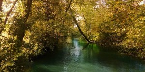 Beitragsbild des Blogbeitrags Schön, nicht wahr?#fotomomenteat #Graz #Austria #Steiermark #nature #wood #water #landscape #tree #leaf #river #environment #park #summer #outdoors #flora #season #branch #stream #lush #scenic #fall 