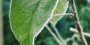 Beitragsbild des Blogbeitrags Mein aktuelles Foto auf Instagram – %%date%%