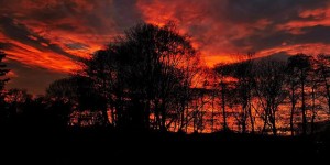 Beitragsbild des Blogbeitrags Mein aktuelles Foto auf Instagram – %%date%%