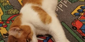 Beitragsbild des Blogbeitrags Mein aktuelles Foto auf Instagram – 12.01.2020