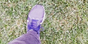 Beitragsbild des Blogbeitrags Mein aktuelles Foto auf Instagram – %%date%%