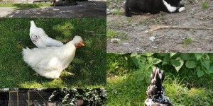 Beitragsbild des Blogbeitrags Mein aktuelles Foto auf Instagram – %%date%%