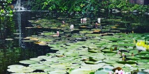 Beitragsbild des Blogbeitrags Mein aktuelles Foto auf Instagram – %%date%%