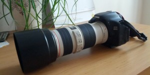 Beitragsbild des Blogbeitrags Fotografieren lernen – kostenlos zum Erfolg