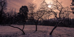 Beitragsbild des Blogbeitrags Graz im Schnee, Jänner 2016